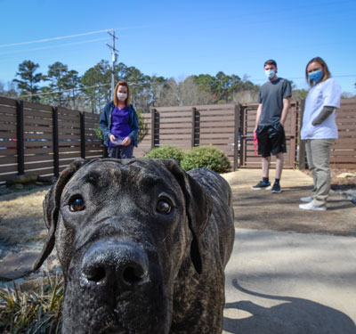 Animal_Hospital_Biscoe_Outdoor_Area_Dog_Closeup