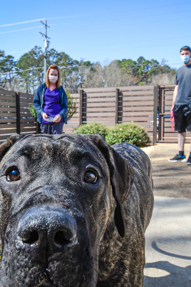Biscoe_Animal_Hospital_Biscoe_NC_Contact Biscoe_Animal_Hospital_Biscoe_NC_Contact
