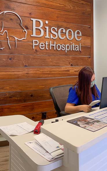 Biscoe_Animal_Hospital_CTA Images 370x590_0003_About Us Biscoe Animal Hospital About US