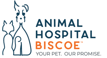 Animal Hospital Biscoe