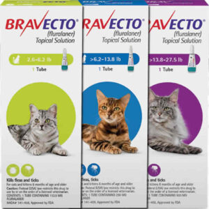 Bravecto Cats